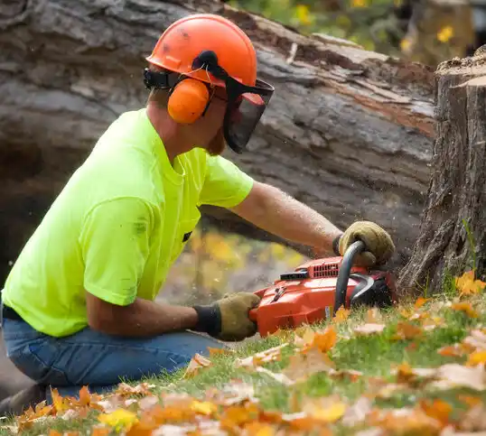 tree services Corbin City